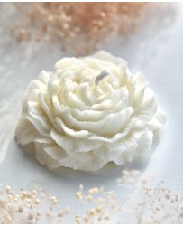 Flower candle | White peony