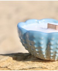 candle-in-a-ceramic-shell-light-blue-jar