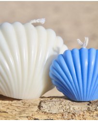 lot-candles-shell-cheap-natural