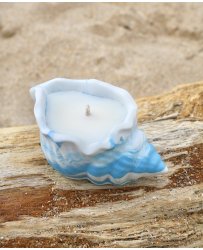 cheap-candle-natural-blue-seashell-pot