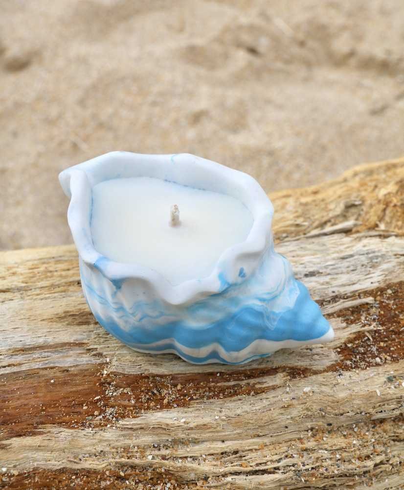 cheap-candle-natural-blue-seashell-pot