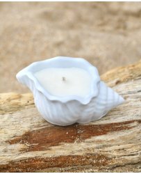 light-blue-shell-candle