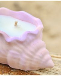 cheap-pink-seashell-candle