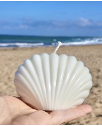 large-natural-shell-candle