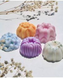 Discovery pack - Scented fondant