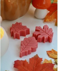 Set of 3 scented leaf-shaped melts